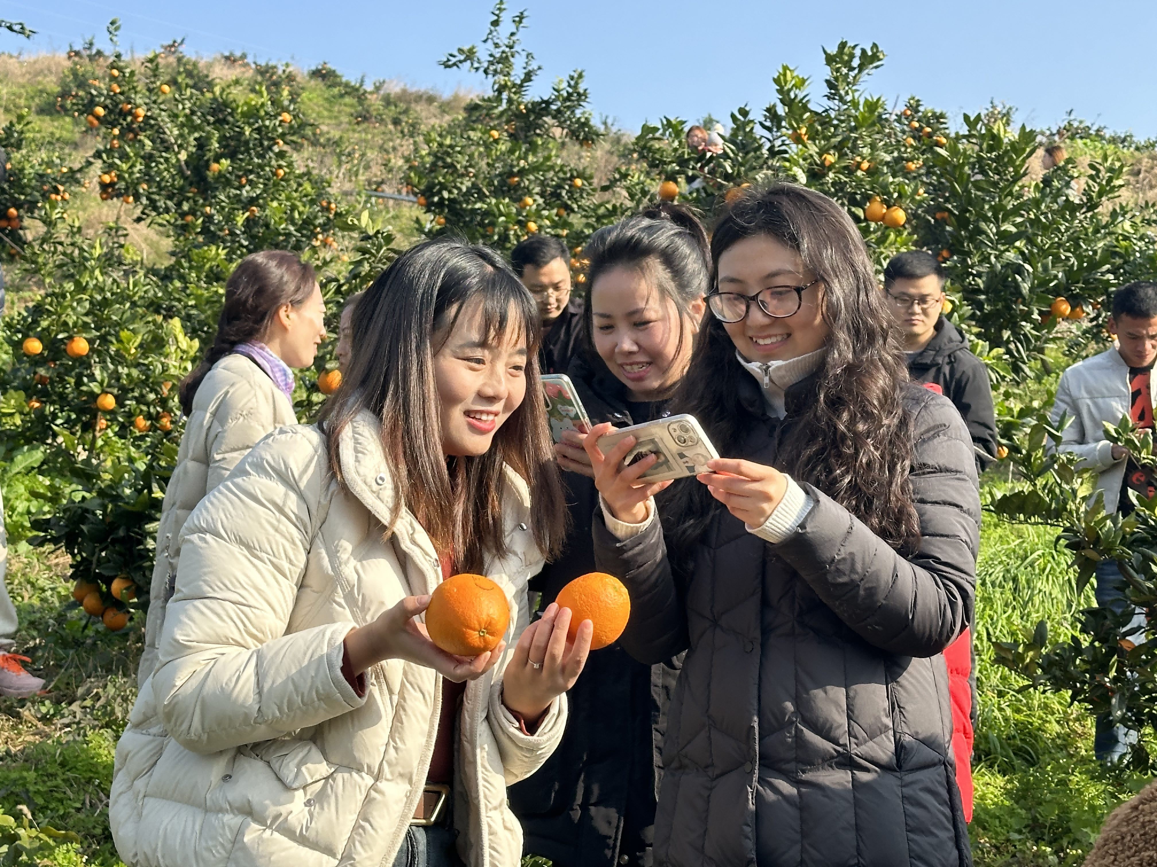老虎机游戏下载