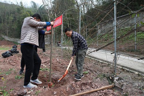 老虎机游戏下载