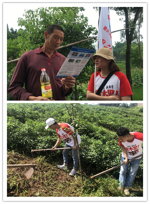 老虎机游戏下载